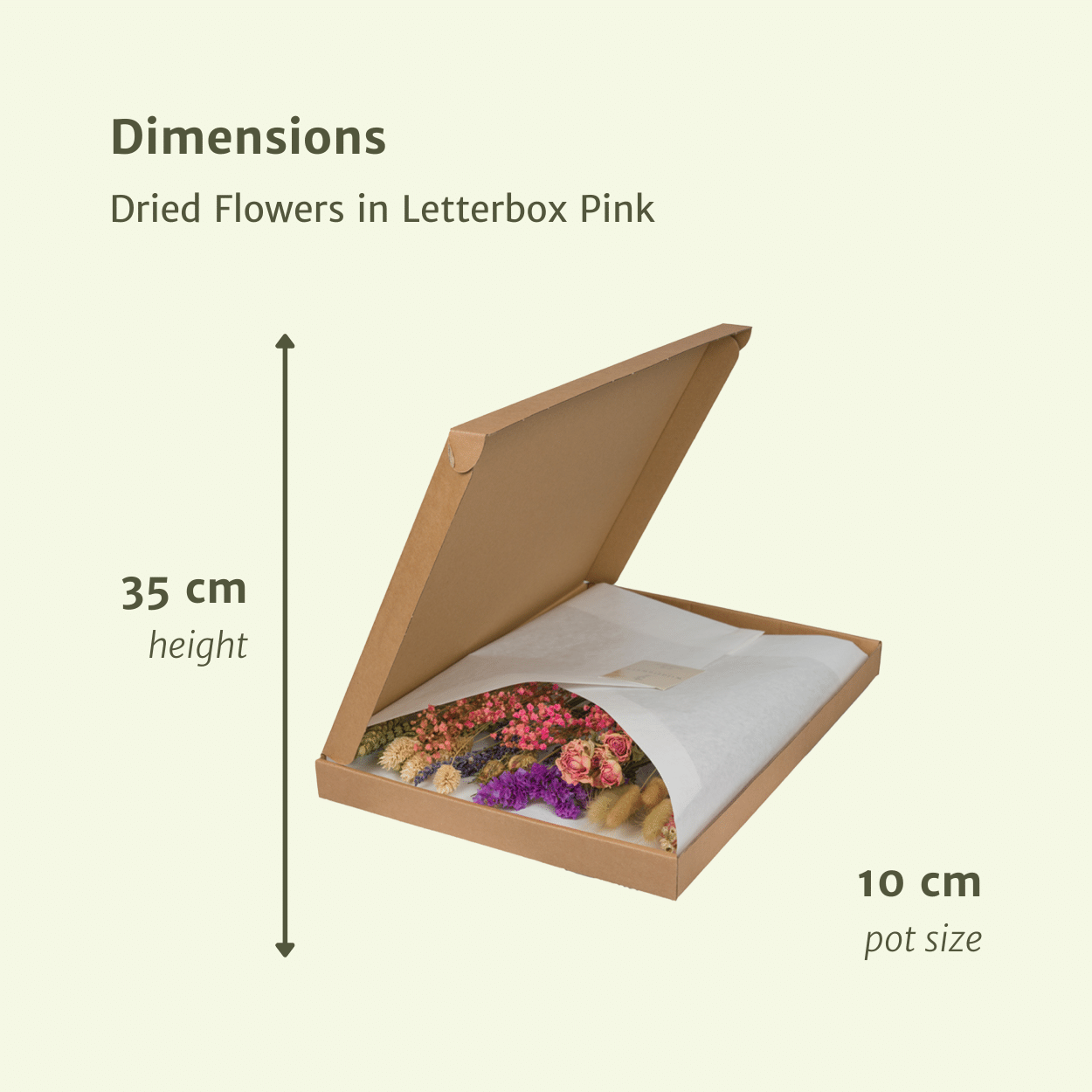 Eleganter Trockenstrauß Pink im Briefkastenformat