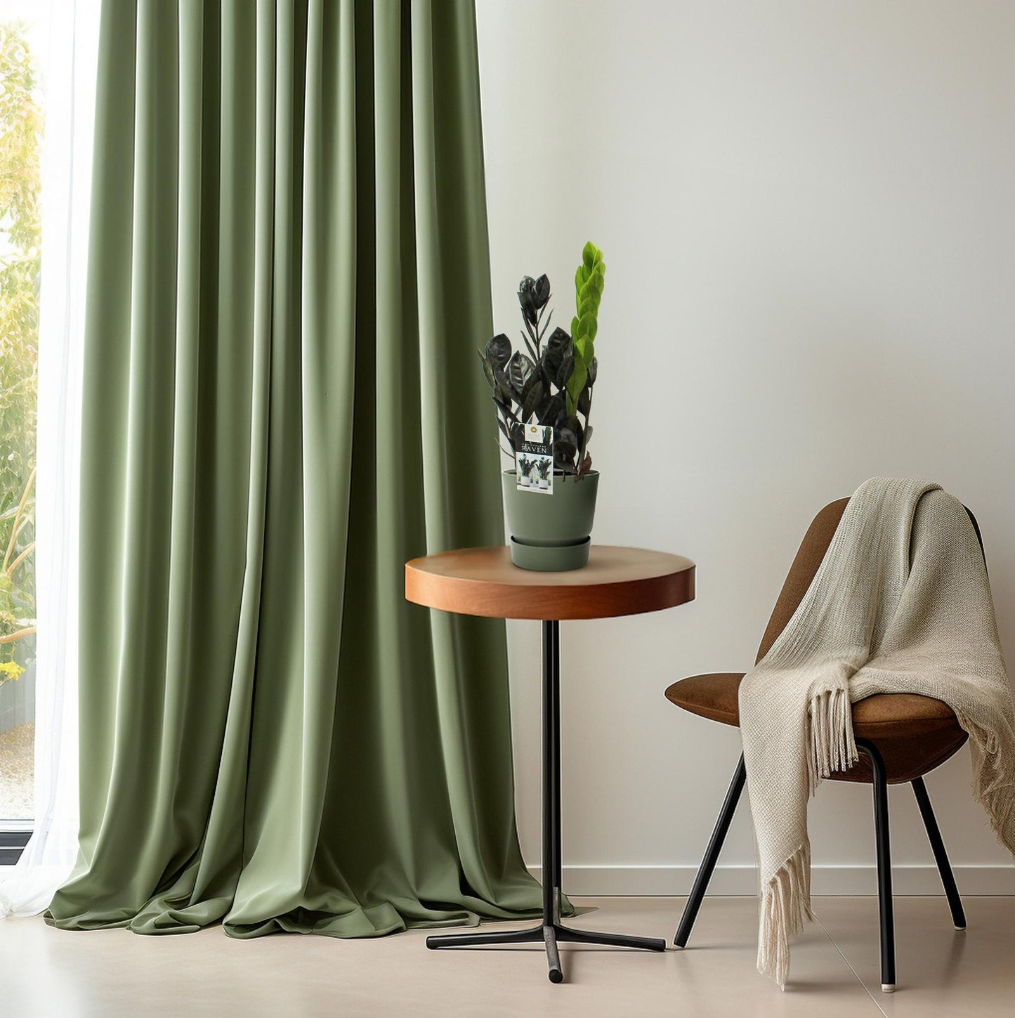 Zamioculcas Raven – Pflegeleichte ZZ-Pflanze Ø14cm, 45cm hoch