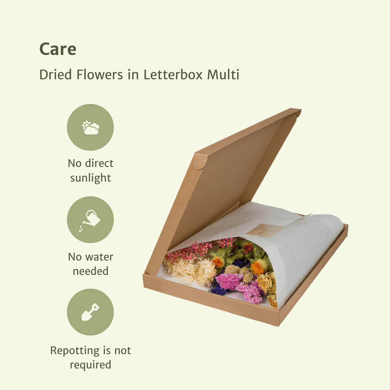 Trockenblumen im Briefkasten – Bunte Deko-Mischung