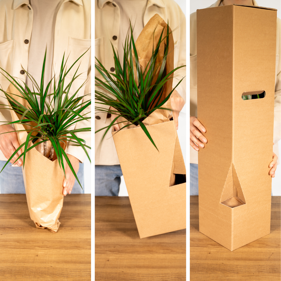 Gartenkräutermischung 4er Set Ø14cm – Aromatisch & Pflegeleicht