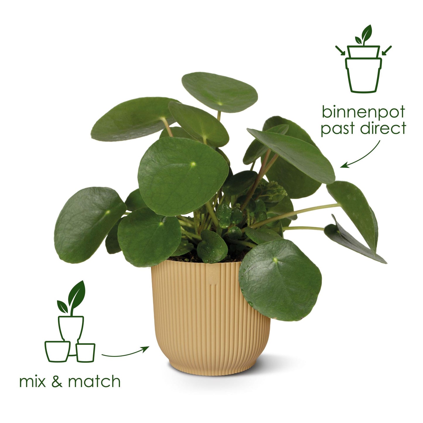 Elho Vibes Fold Round Blumentopf Weiß D25 x H23 cm