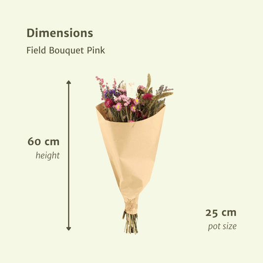 Trockenblumen Feldblumenstrauß Rosa Ø25cm × 60cm