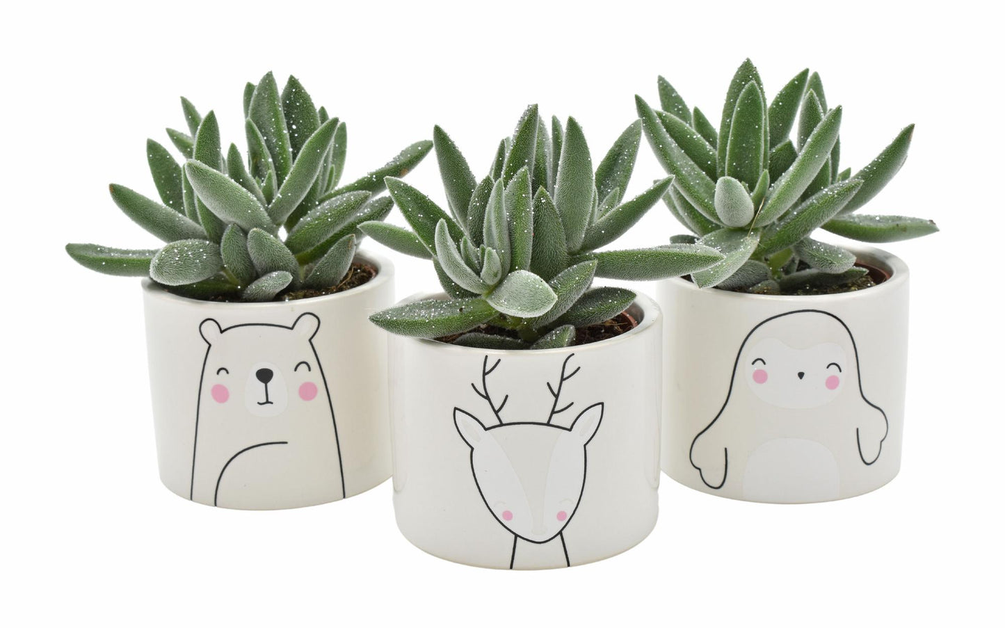 Tarantula + Glitter Winter Animals – 3er Set Ø6–8 cm