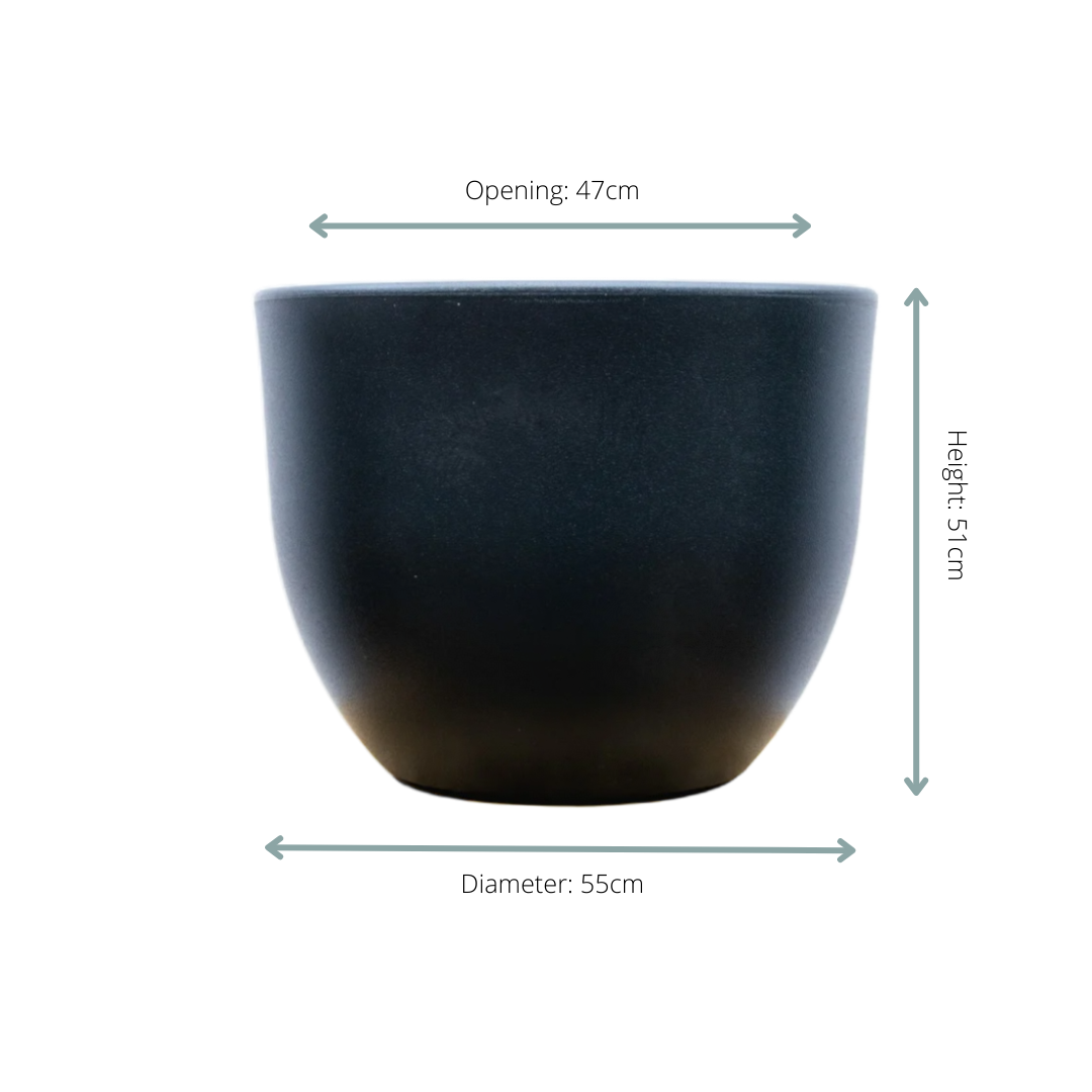Pot Eggy Anthrazit – Moderner Pflanzkübel D55 x H43 cm