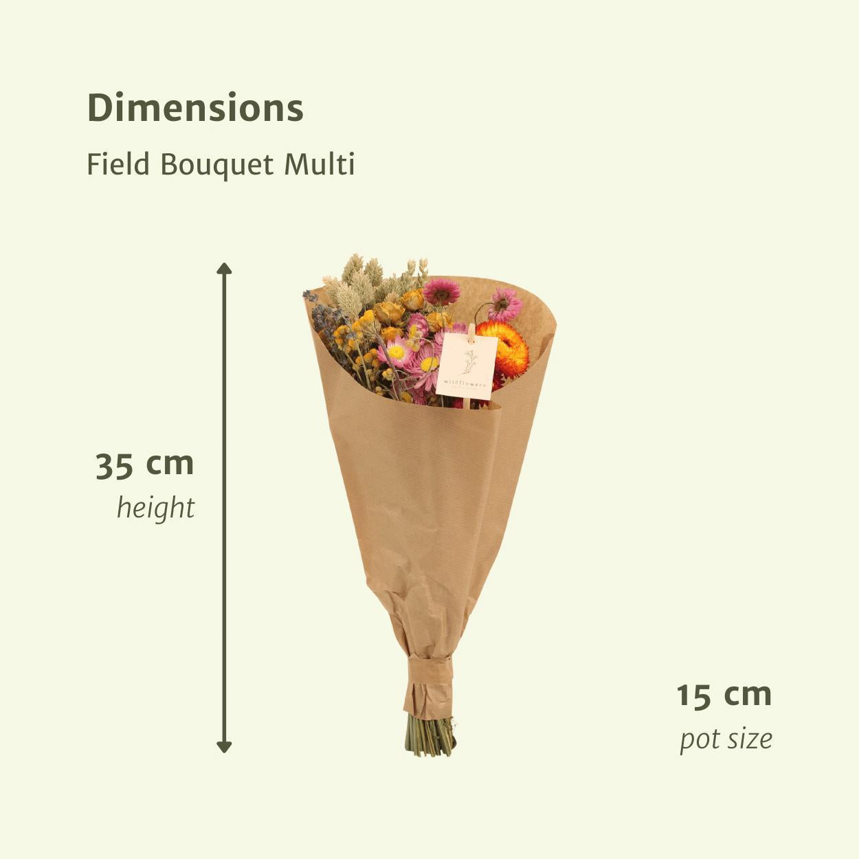 12x Field Bouquet Multi – Bunter Trockenstrauß 35 cm