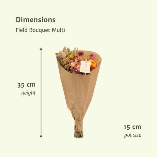 12x Field Bouquet Multi – Bunter Trockenstrauß 35 cm