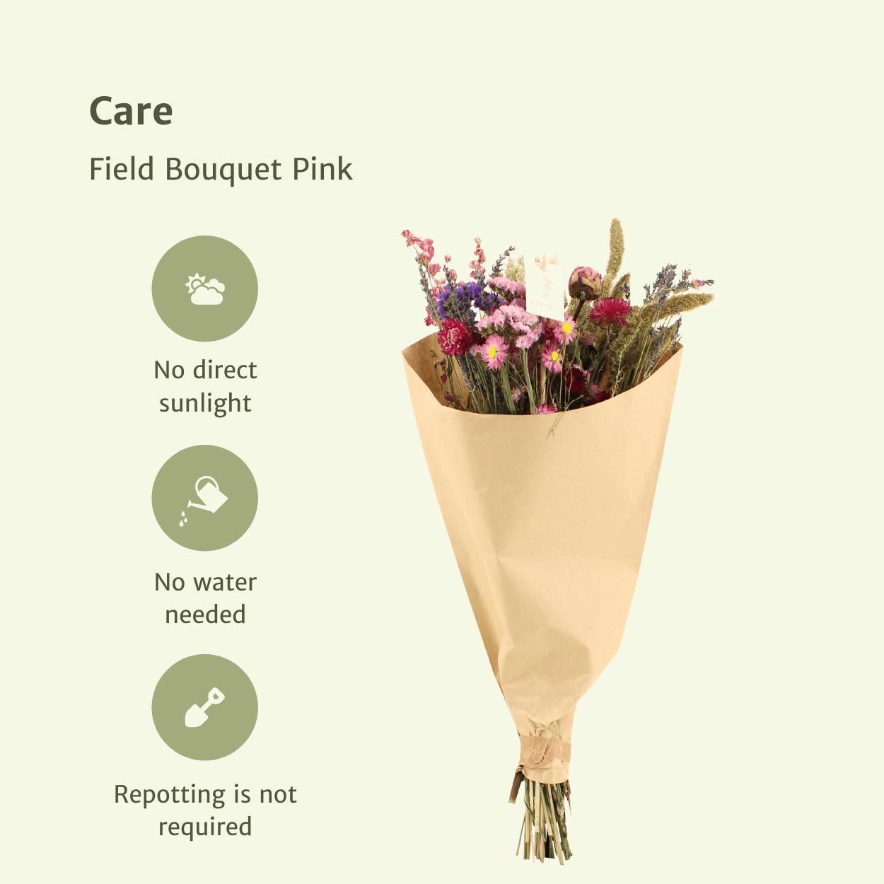 12x Trockenblumen Field Bouquet Pink – 35 cm