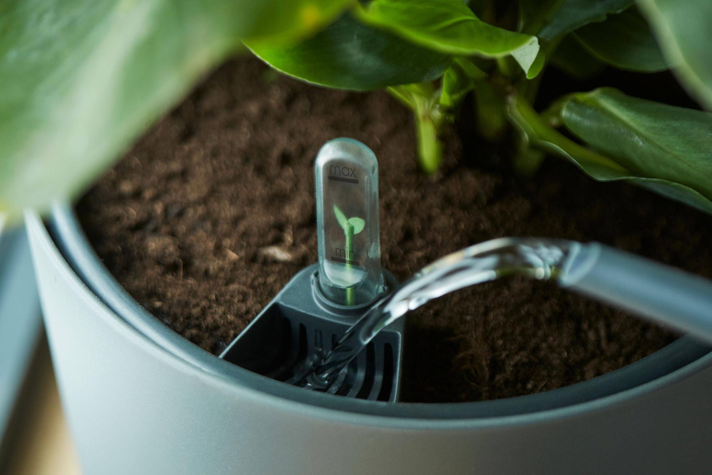 Self Watering Einsatz – 17 cm für pflegeleichte Pflanzen