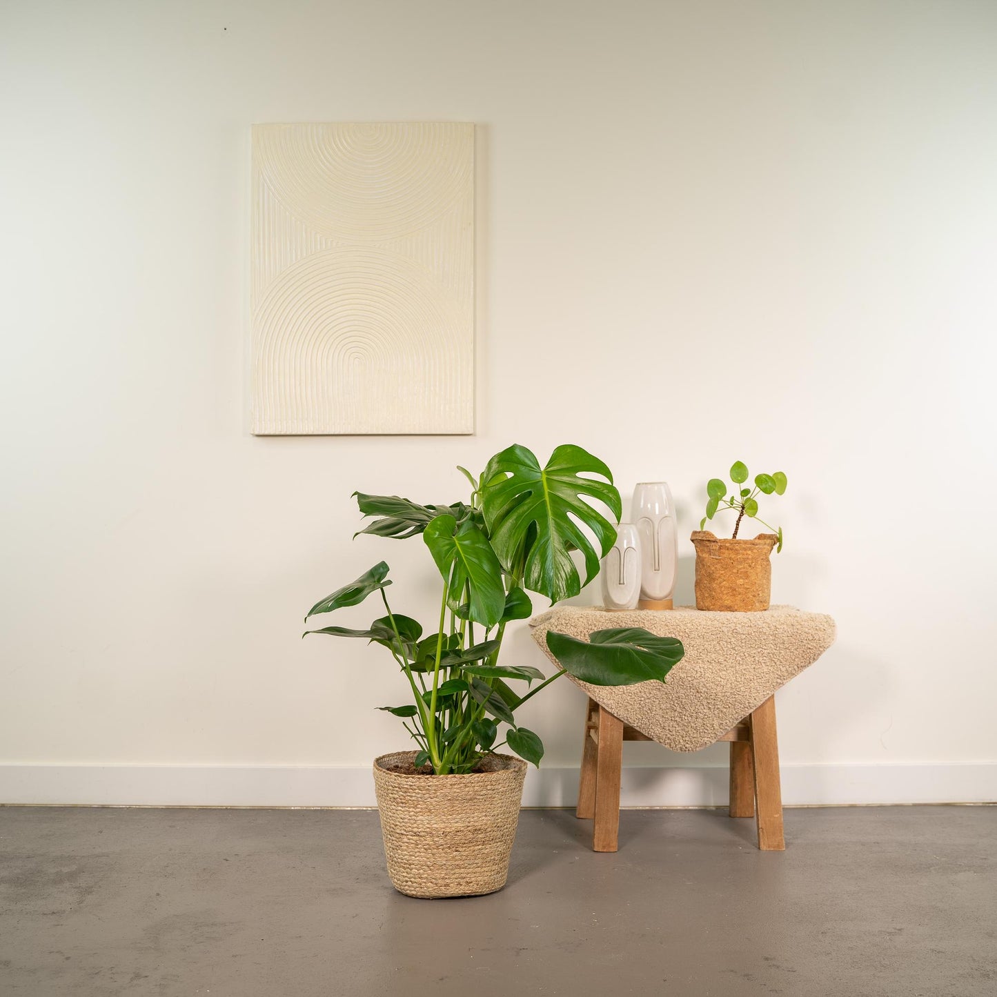 Monstera Deliciosa im Körbchen Selin – Ø21cm, ca. 80cm hoch