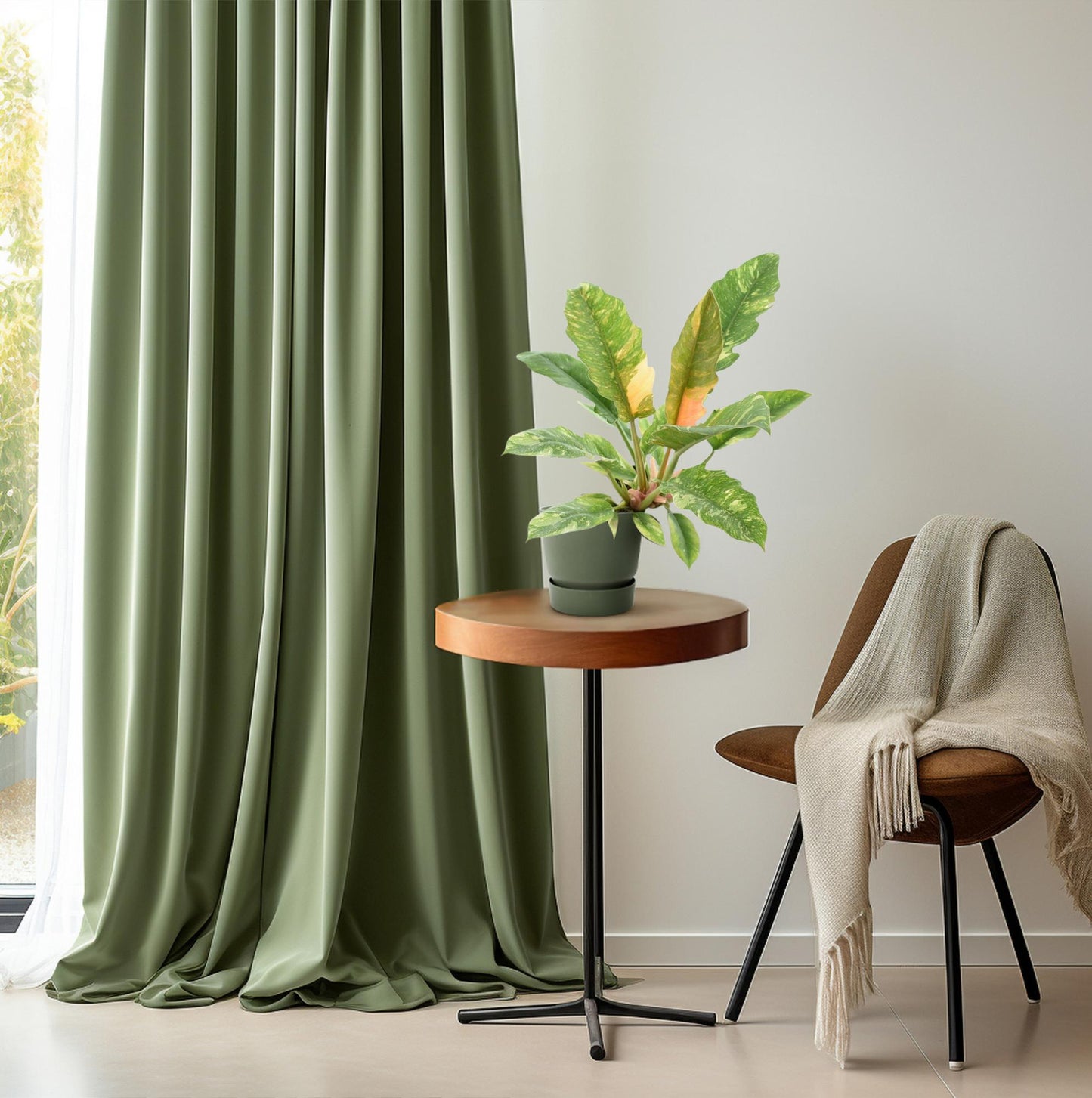 Philodendron Ring of Fire – Exotische, pflegeleichte Zimmerpflanze Ø14cm