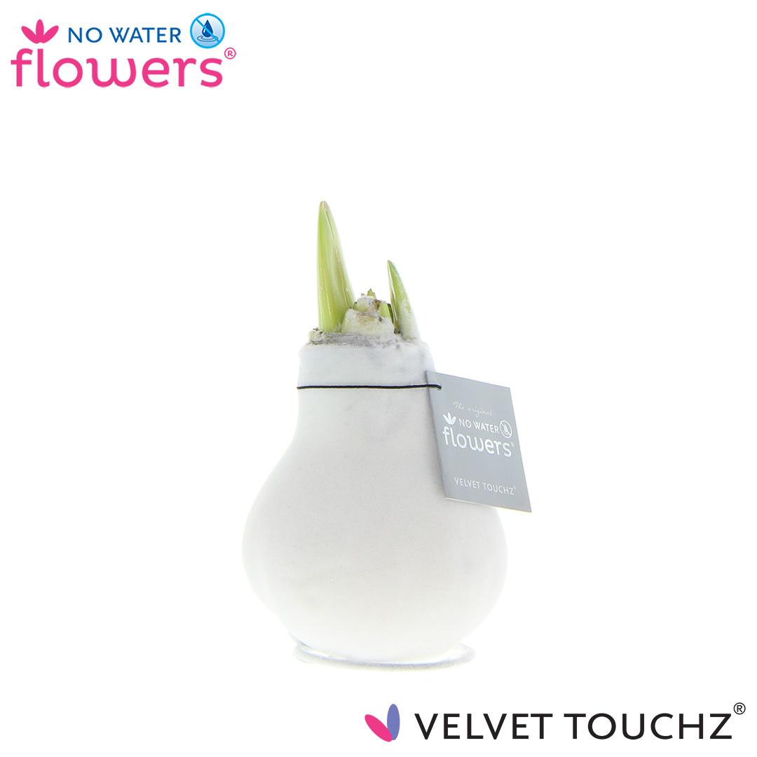 No Water Flowers Velvet Touchz® Weiß – Ø 15 cm
