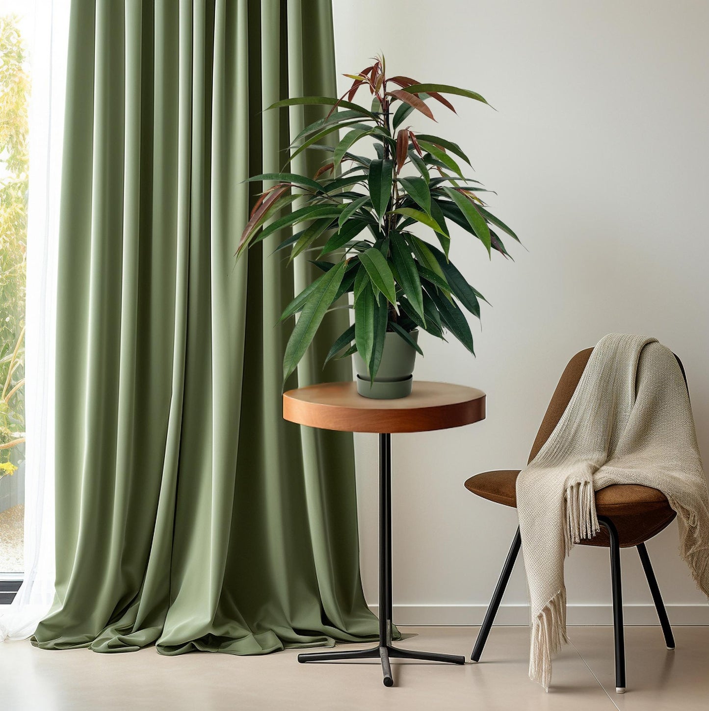 Ficus Binnendijkii 'Amstel King' – Pflegeleichte Zimmerpflanze Ø17cm