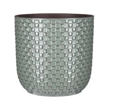 Pflegeleichte grüne Zimmerpflanze D13,5 cm – Pot Relief Groen