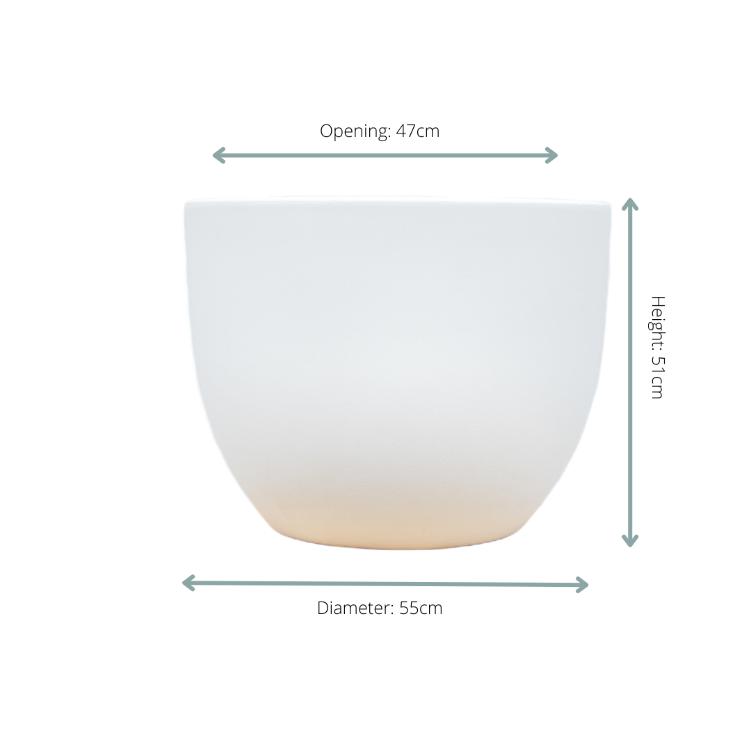 Pot Eggy Anthrazit – Moderner Pflanzkübel D55 x H43