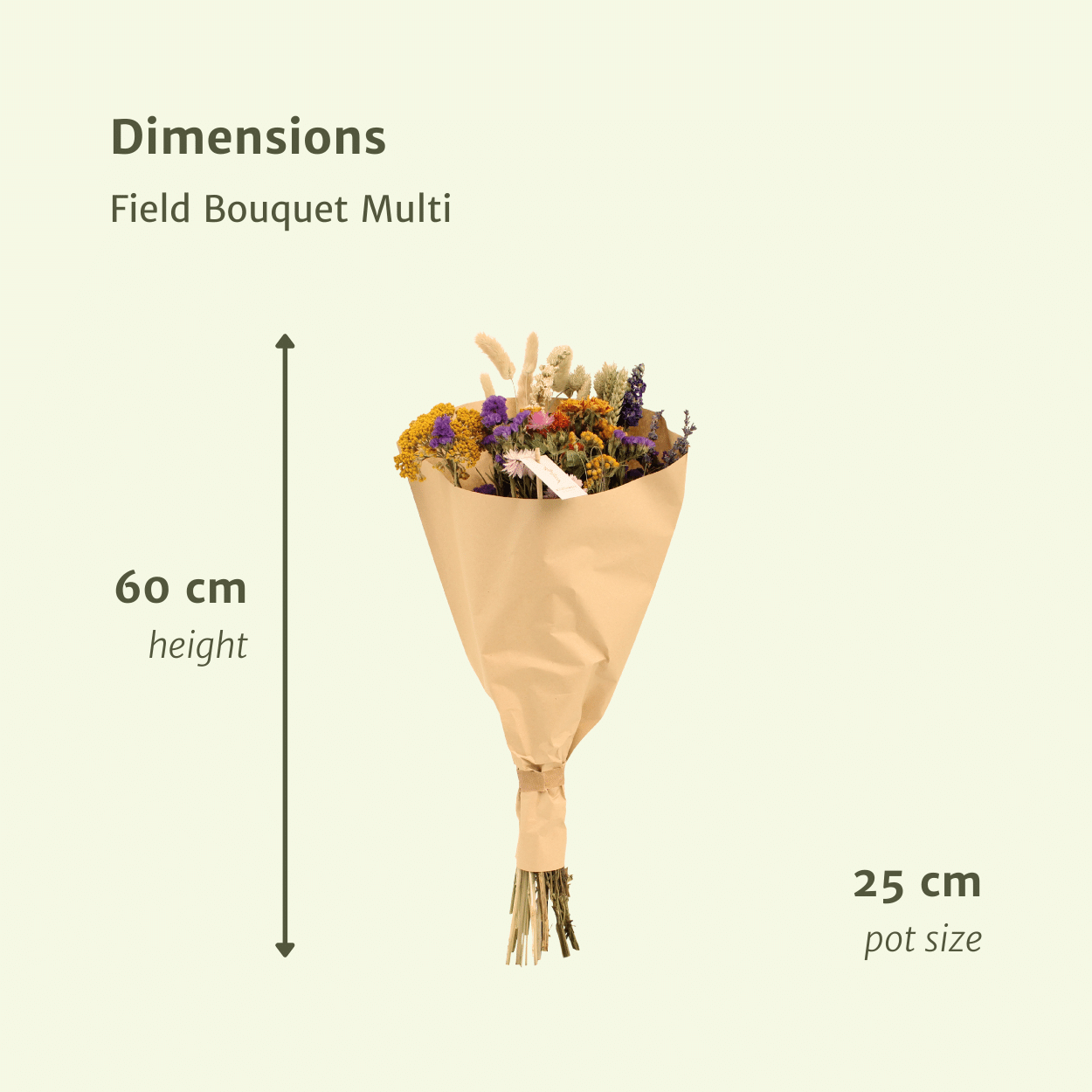 Trockenblumenstrauß Feldblumen Multi – langlebige Naturdeko