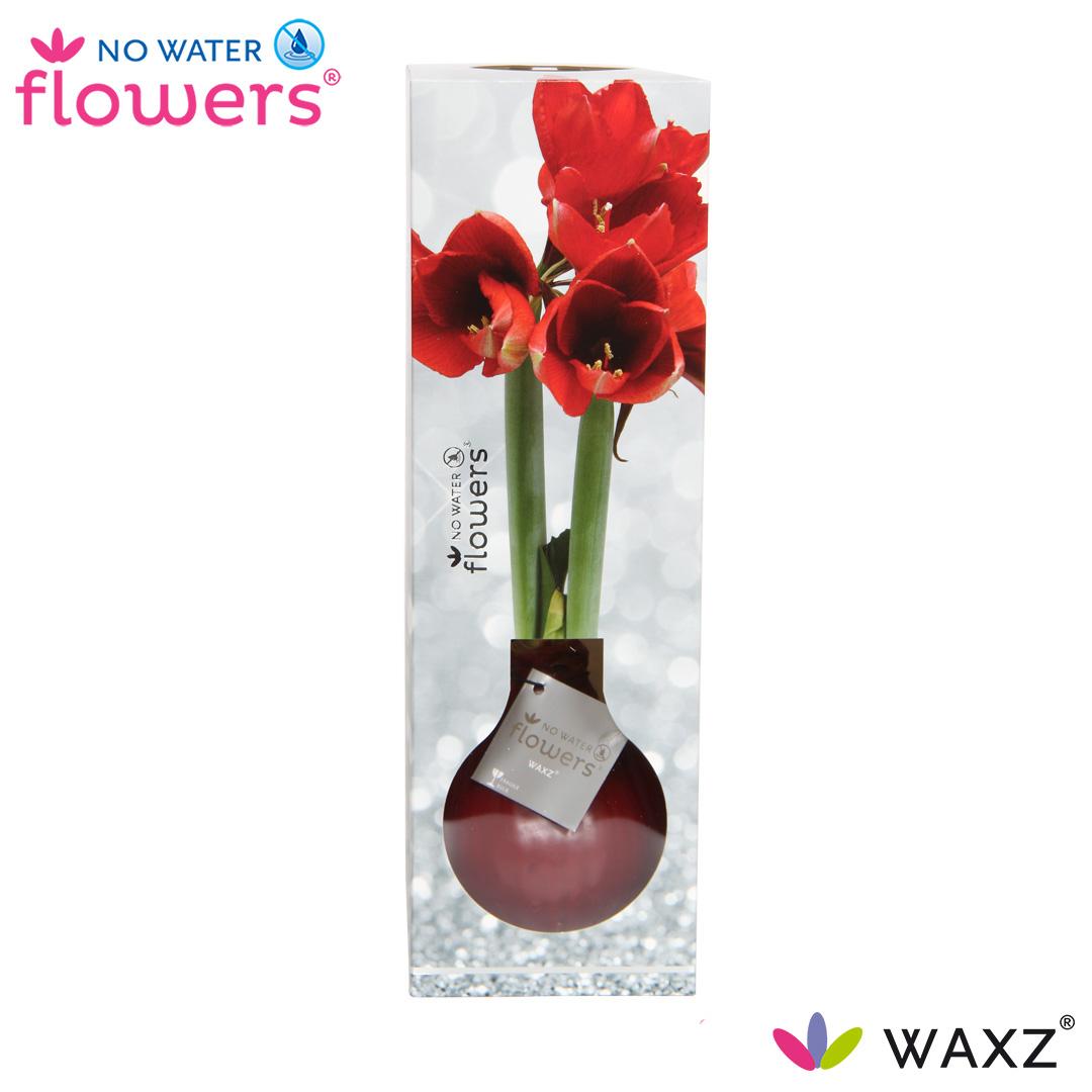 No Water Flowers Waxz® Luxury Box Bordeaux – Ø15cm