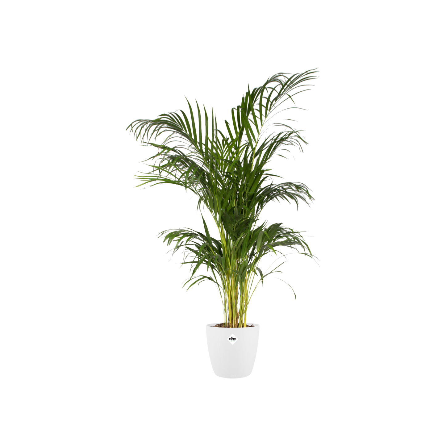 Pot elho Brussels Round Weiß Ø30 x H27 cm – Moderner Pflanztopf