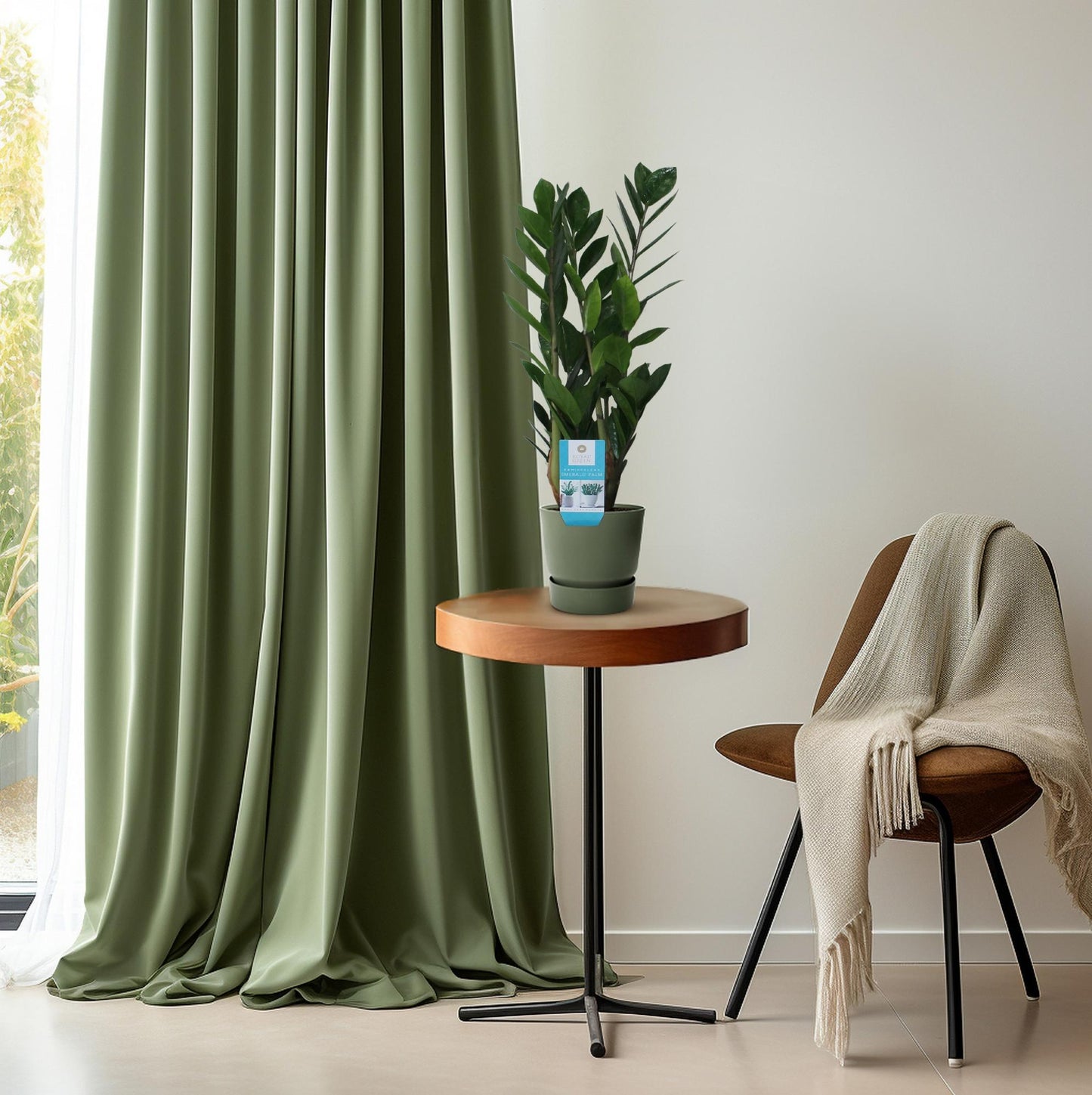 Zamioculcas Zamiifolia – Pflegeleichte ZZ-Pflanze Ø14cm, 55cm hoch