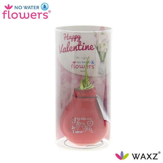 No Water Flowers Waxz® Message Printz Valentijn Ø20cm