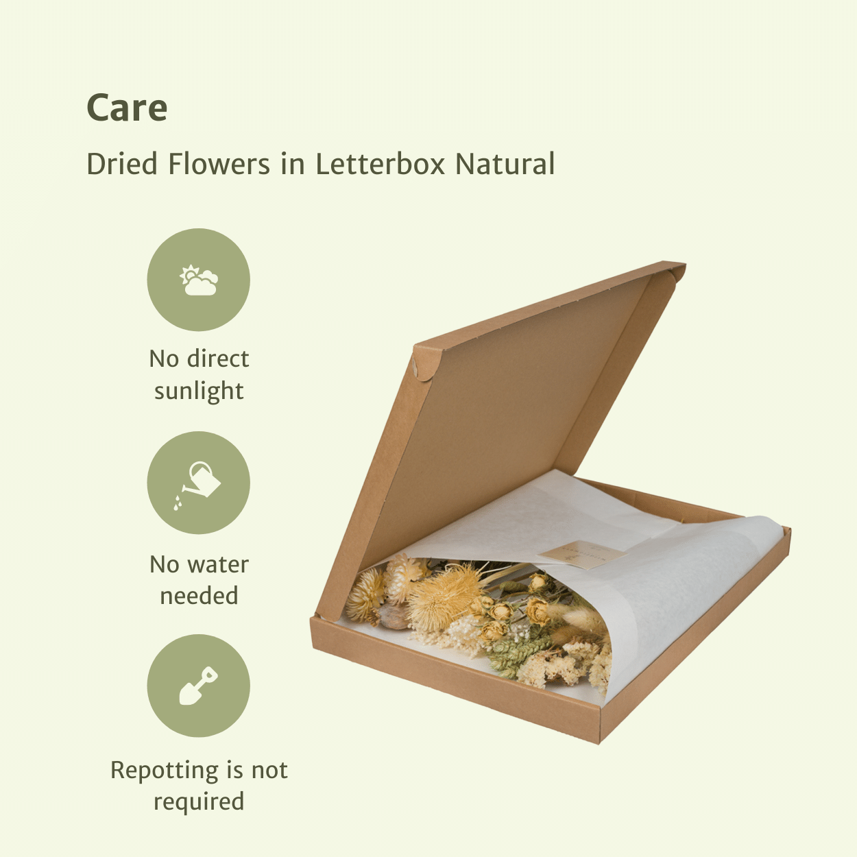 Trockenblumen im Briefkasten – Natural