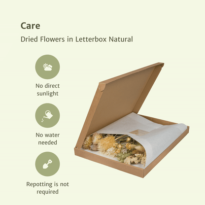 Trockenblumen im Briefkasten – Natural
