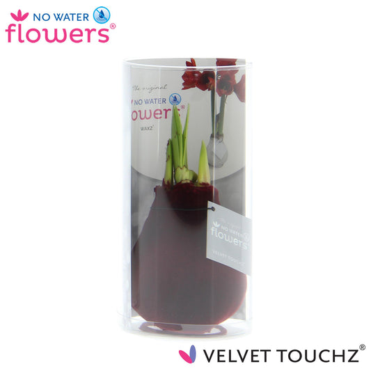 No Water Flowers Velvet Touchz® Bordeaux Ø15cm – Pflegeleichte Deko-Blume