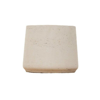 Jumbo Orb Beige Washed – Pflegeleichte Zimmerpflanze D56 x H47