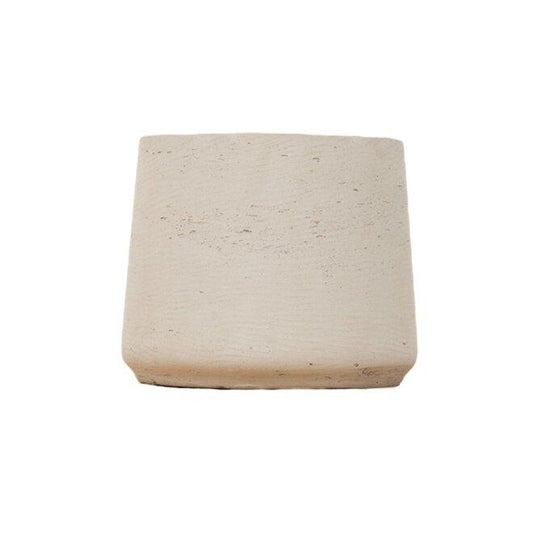 Jumbo Orb Beige Washed – Pflegeleichte Zimmerpflanze D56 x H47