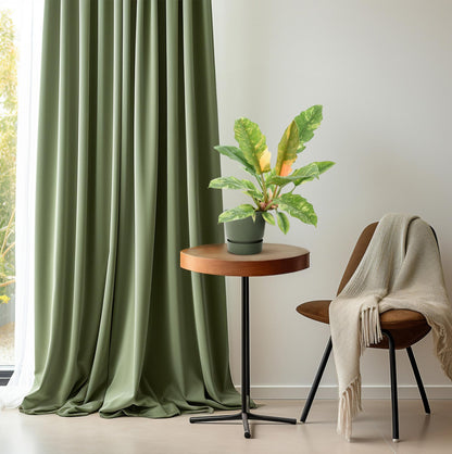 Philodendron Narrow 'Ring Of Fire' – Pflegeleichte Zimmerpflanze