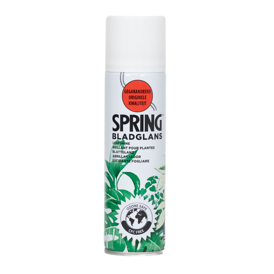 Blattglanz Spray 750ml – Pflegeleicht & Gesund
