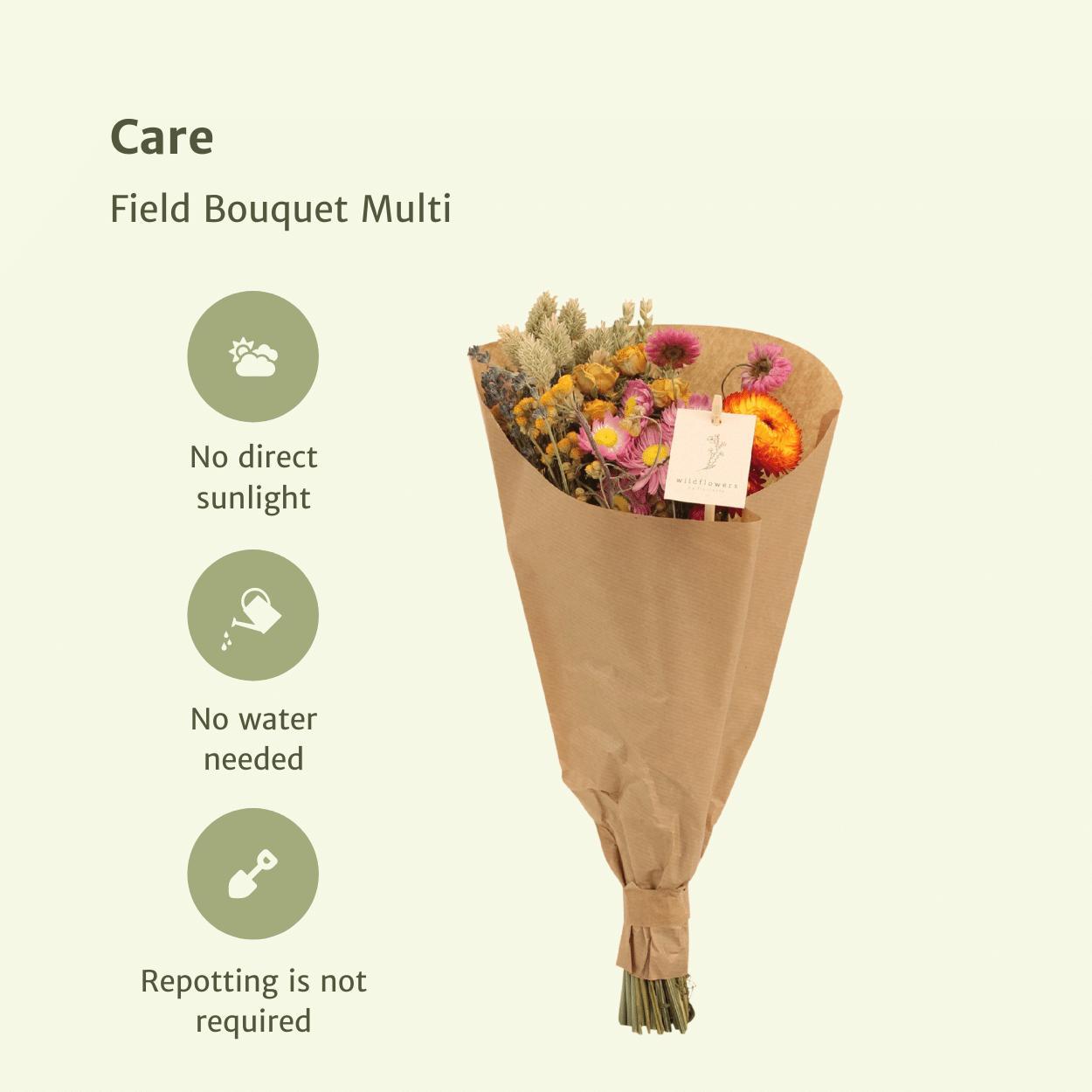 Field Bouquet Multi – Bunter Trockenstrauß 60 cm