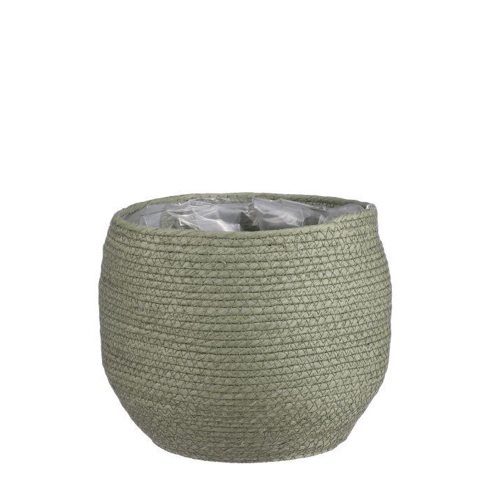 Mandelweide 'Jorck' – Pflegeleichte Zimmerpflanze Ø26cm