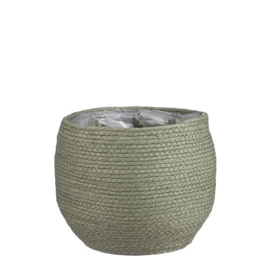 Mandelweide 'Jorck' – Pflegeleichte Zimmerpflanze Ø26cm
