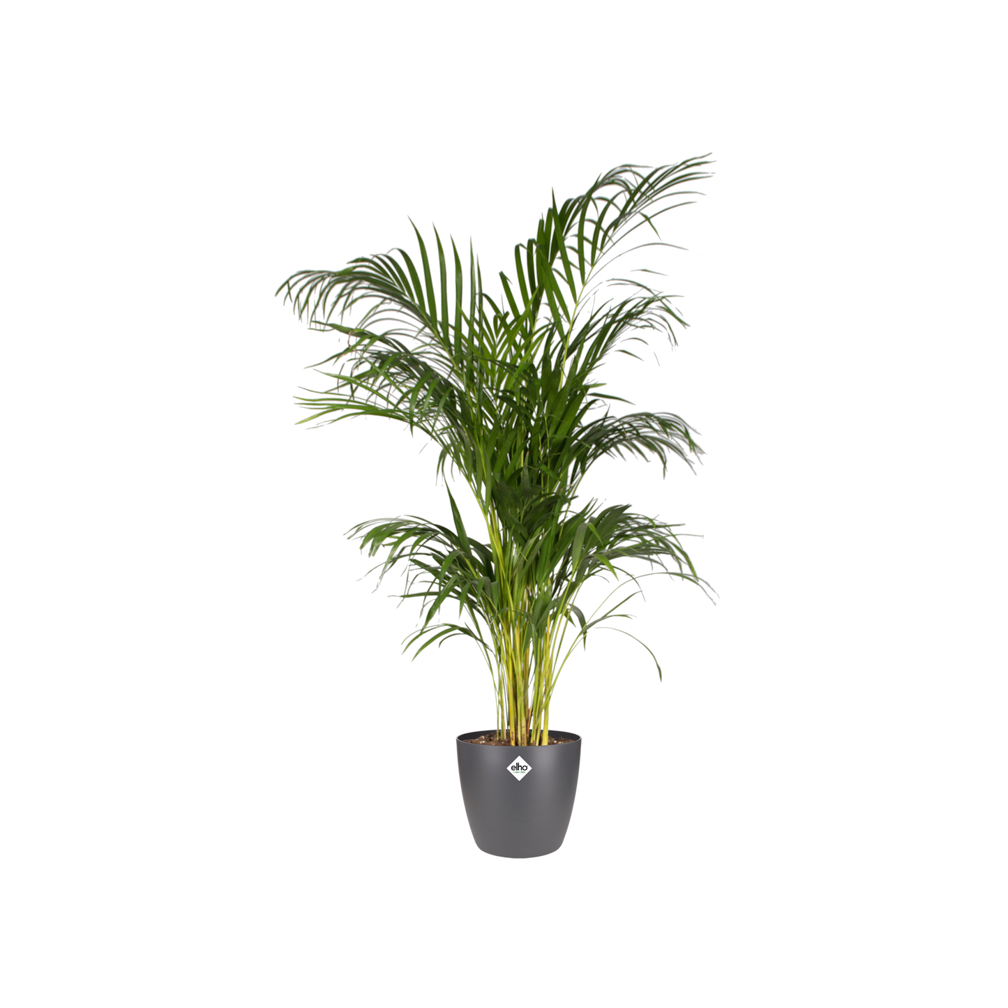 Pot elho Brussels Round Anthrazit D30 x H27 cm – Moderner Pflanztopf