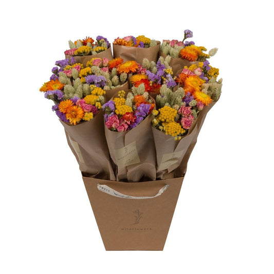 Getrocknete Blumen - Bunter Trockenstrauß 50cm, 10er Set