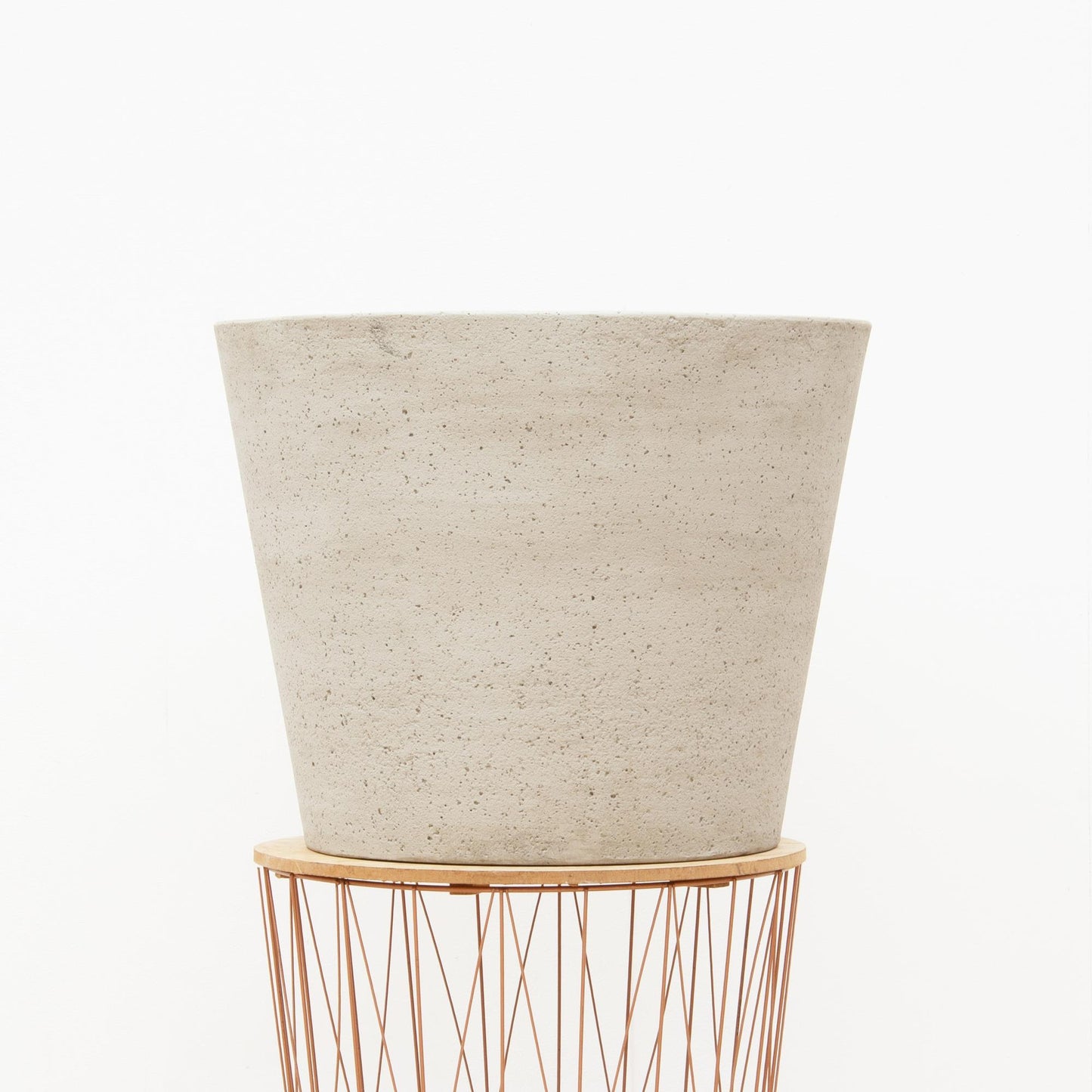 Bucket Beige Washed – Pflegeleichte Zimmer- und Gartenpflanze M