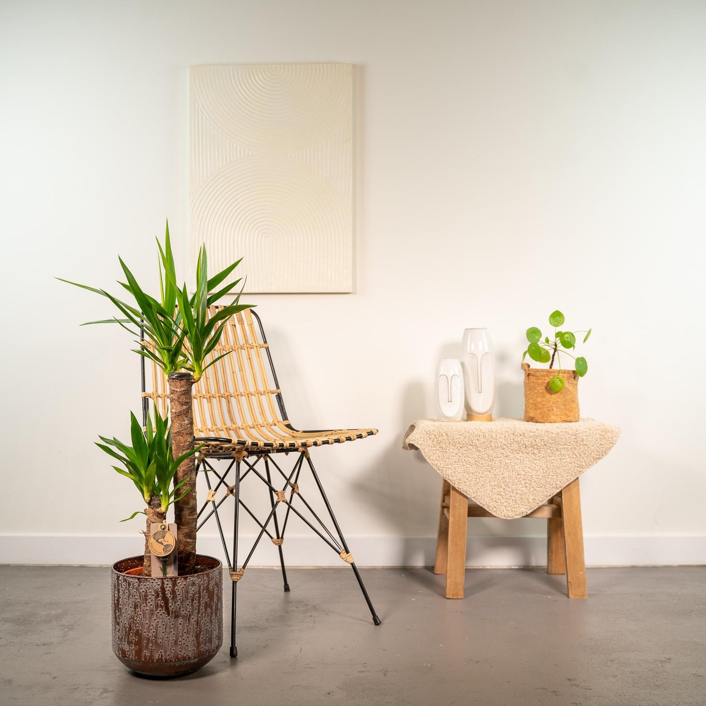 Yucca mit Topf – 100 cm – Ø 21 cm