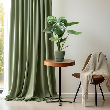 Fensterblatt Busch – Pflegeleichte Zimmerpflanze Ø17cm, 55cm hoch