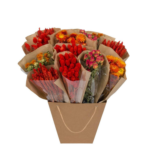 Getrocknete Blumen Dried Mono Mix Orange – 50 cm