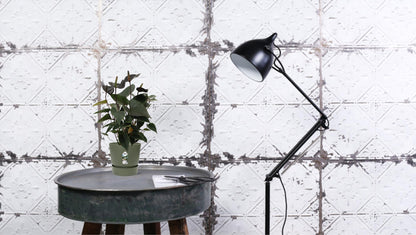 Anthurium Black Love – Pflegeleichte Zimmerpflanze Ø12cm