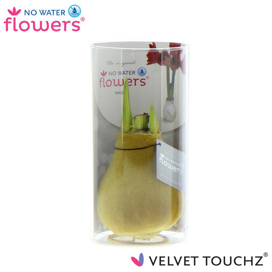 No Water Flowers Velvet Touchz® Gold – Ø 15 cm