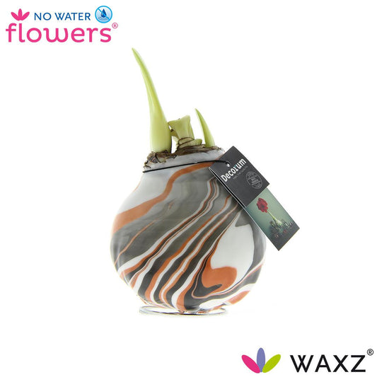 Waxz®Artooz Earth Copper – Pflegeleichte Wachsblume Ø15cm