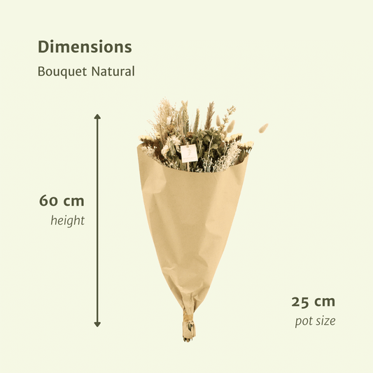 Trockenblumenstrauß Feldblumen Natürlich Ø25-60cm