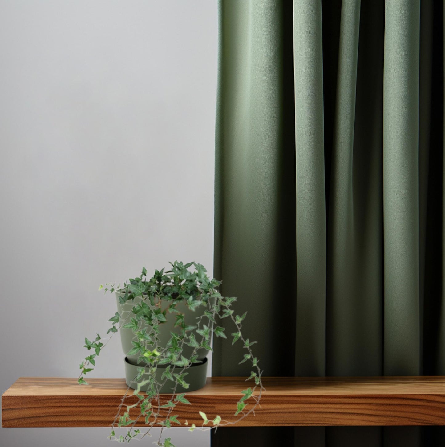 Efeu Hedera Helix Shamrock Ø13cm – Pflegeleicht & Luftreinigend
