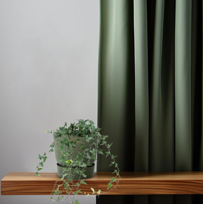 Efeu Hedera Helix Shamrock Ø13cm – Pflegeleicht & Luftreinigend