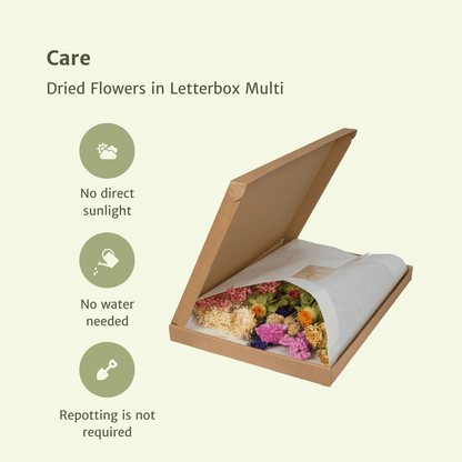 Trockenblumen im Briefkasten – Bunte Deko-Mischung