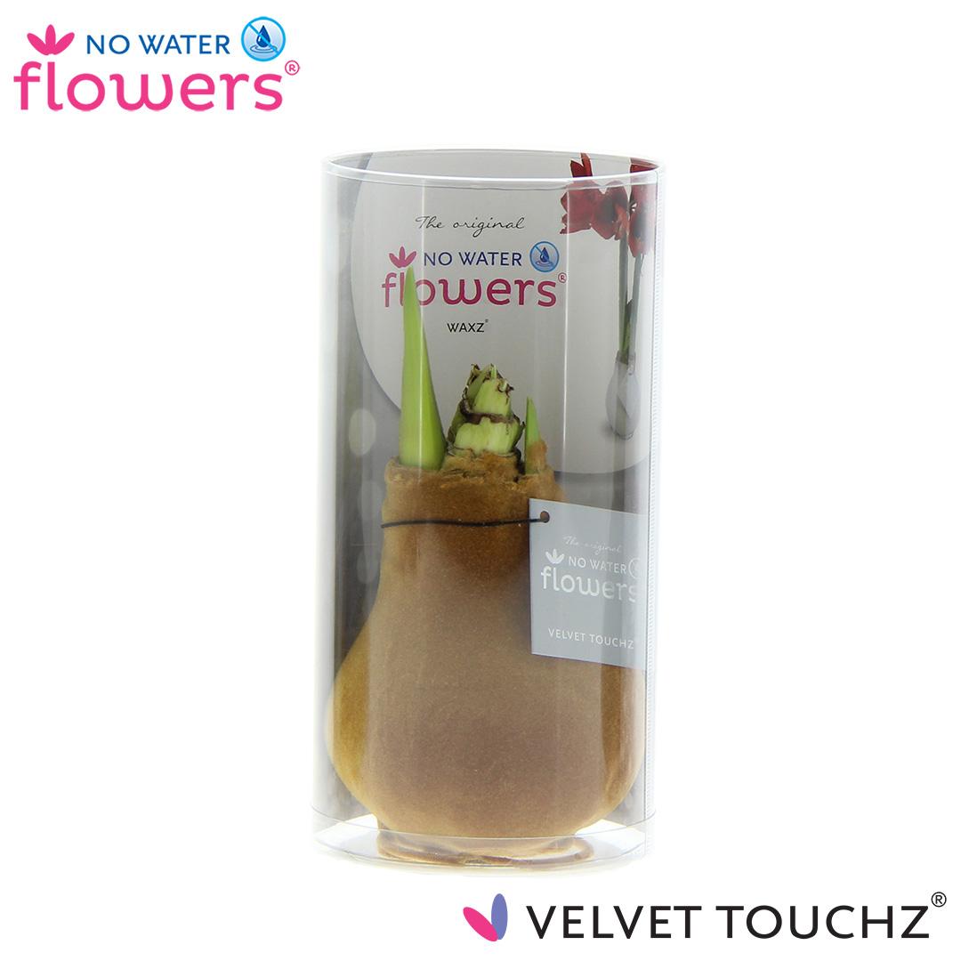 No Water Flowers Velvet Touchz® Copper In Koker – Ø15cm