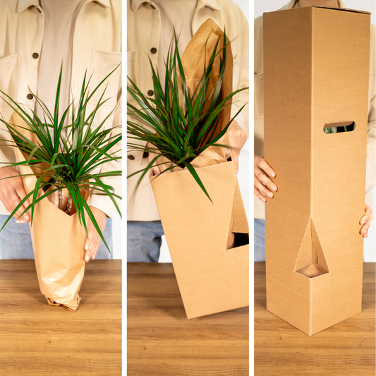 Gartenkräutermischung 4er Set Ø14cm – Aromatisch & Pflegeleicht