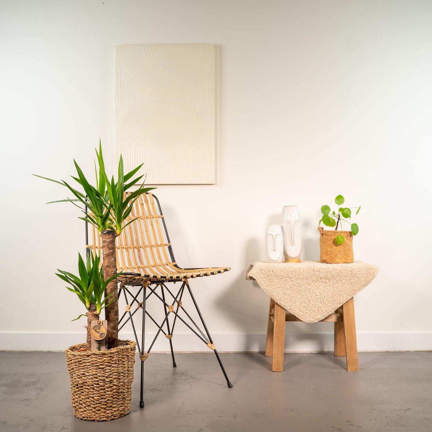 Yucca – Robuste & Pflegeleichte Palmlilie, Ø21cm, 100cm Höhe