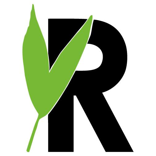 Dracaena Reflexa 'Anita Variegata' – Pflegeleichte Trendpflanze Ø27 cm